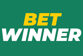 BetWinner Bookmaker A Comprehensive Guide