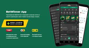 Explore BetWinner Casino and Sportsbook Your Ultimate Betting Destination