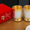 Dual tone steel glass set in velvet box for premium gifting