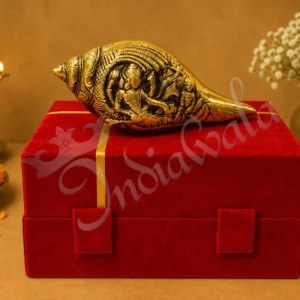 A beautifully crafted 6 inch brass gold plated gifting shankh with velvet box