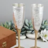 Elegant 9.5 Inch Silver Plated Steel Wine Goblet Set of 2 in a luxury velvet box