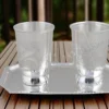 Elegant Silver Plated Steel Two Glass Set with Tray in a red velvet box.