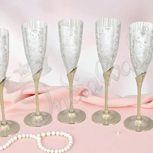 Elegant Silver Plated Brass Goblet Set of 6 in a premium velvet box